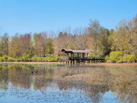 Fishtrap Creek Park during a spring season in Abbotsford, British Columbia, Canada