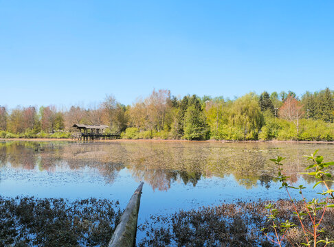 Fishtrap Creek Park during a spring season in Abbotsford, British Columbia, Canada