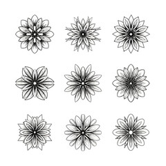 Obraz premium Set of black floral illustrations on white backdrop