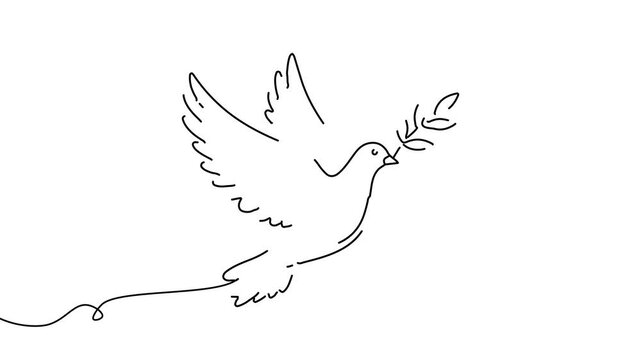 Animation of line drawing of dove carrying an olive branch symbolizing peace and human dignity.