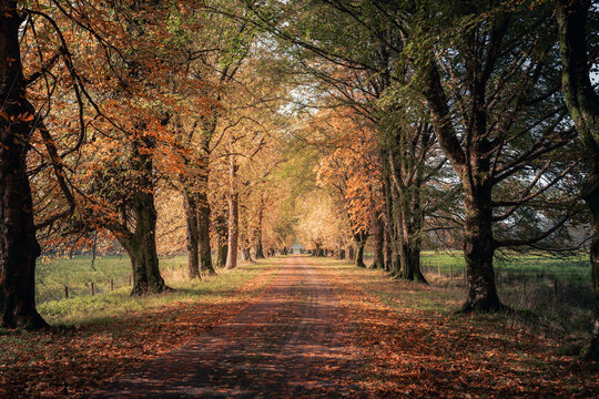 Caminos en escocia