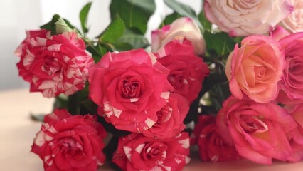 Fototapeta premium Beautiful Rotation Rose Bouquet Against Flowing Curtains, for Romantic Dates, Gift Giving Moments, Valentine Surprises, Holiday Celebrations, Wedding Mood, and Festive Floral Luxury Content