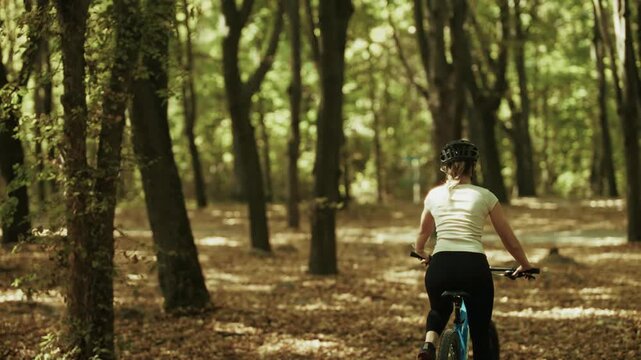 Cyclist Riding Bicycle On Forest Road In Park Woodland. Active Lifestyle And Outdoor Workout Routine