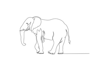 Fototapeta premium Elephant continuous line. Continuous one line drawing of elephant. Big animal concept. Single line drawing