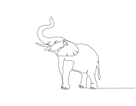 Elephant continuous line. Continuous one line drawing of elephant. Big animal concept. Single line drawing