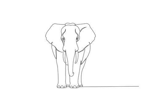 Elephant continuous line. Continuous one line drawing of elephant. Big animal concept. Single line drawing