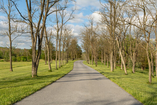 A quiet, winding roadway lined with tall trees and fresh green grass at the Daniel Boone Homestead in Birdsboro, Pennsylvania.