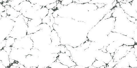 Fototapeta premium Black and white marble texture with irregular veins