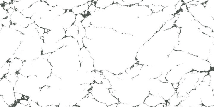 Black and white marble texture with irregular veins