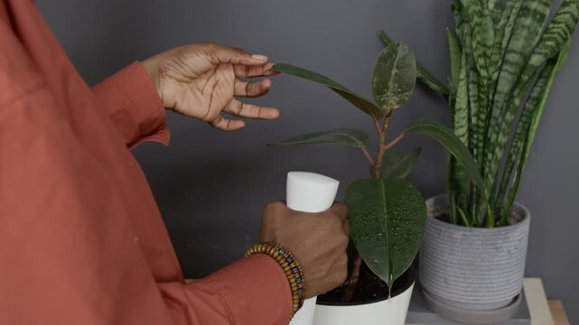 Unrecognisable woman wiping green plant leaves with dry cloth after spraying them with water while doing housework