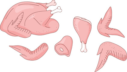 Hand drawn vintage sketch style raw chicken vector illustration kit featuring whole carcass drumstick wings and fillet pieces isolated on transparent background © HELEN QUEEN