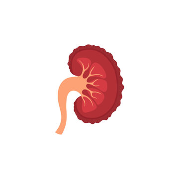 Chronic Kidney Disease