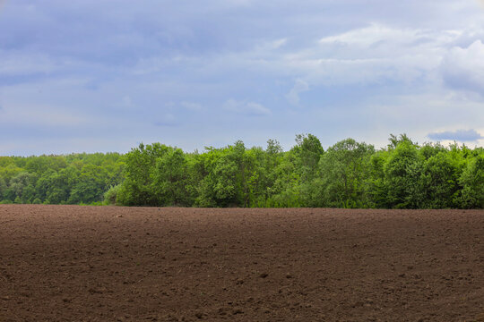 A wide plowed field with fresh fertile soil under a cloudy spring sky. In the background, a dense windbreak of vibrant green deciduous trees stretches across the horizon.