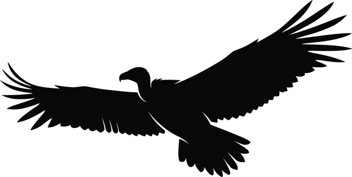 Black silhouette of a large condor or vulture bird flying with wide wingspan isolated on white background