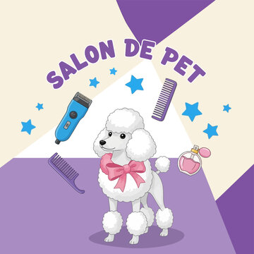 Adorable White Poodle with Pink Bow in Grooming Salon.