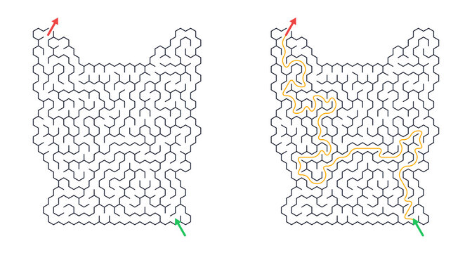 Maze  design of a cat face with solution illustrated in two parts on white background  
