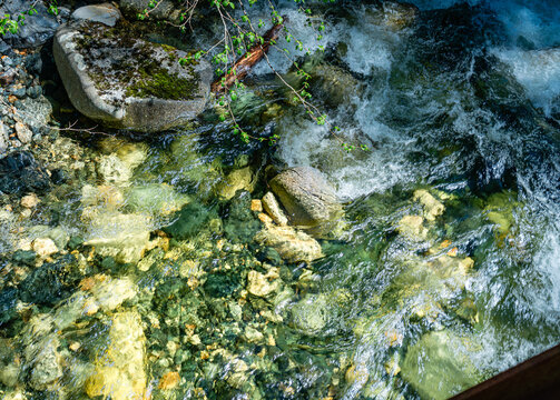 Clear Water Denny Creek 4