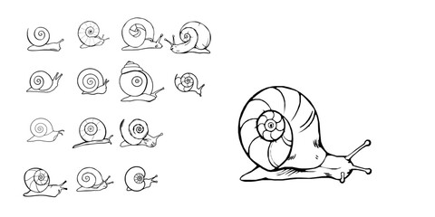 Snail Shell Spiral Outline Icon Clean Stroke on White Background Vector SVG Pack © PRO_ED