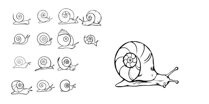 Snail Shell Spiral Outline Icon Clean Stroke on White Background Vector SVG Pack