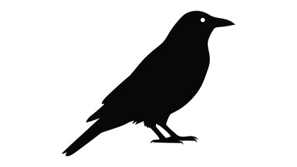 Obraz premium Black bird silhouette isolated on white background