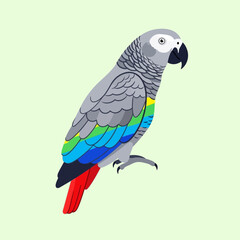 Obraz premium Captivating African Grey Parrot with Vibrant Plumage and Intelligent Gaze.