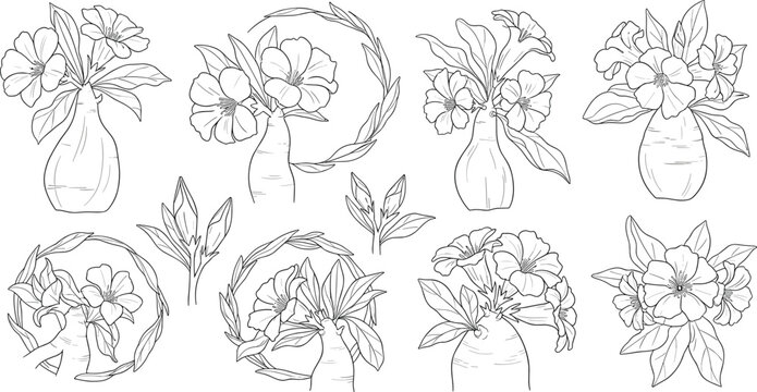 Hand drawn aesthetic realistic floral line art style set of desert rose flowers isolated on white background