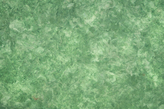 background and texture of backlit amate bark paper handmade manufactured in Mexico