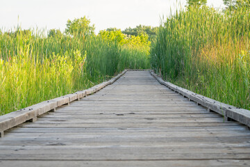 Obraz premium nature trail - wooden boardwalk path through wetlands in a fall scenery - a journey metaphor