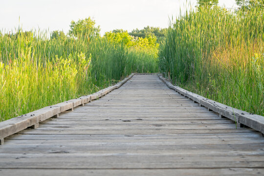 nature trail - wooden boardwalk path through wetlands in a fall scenery - a journey metaphor
