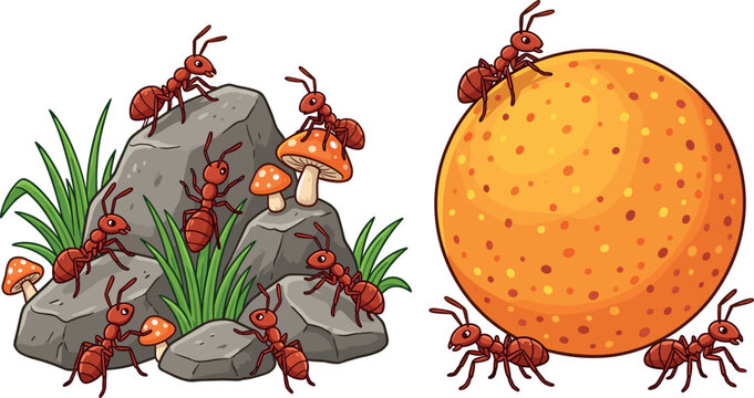 Red Ants Colony on Rocks with Mushrooms and Carrying Orange Fruit Vector Illustration