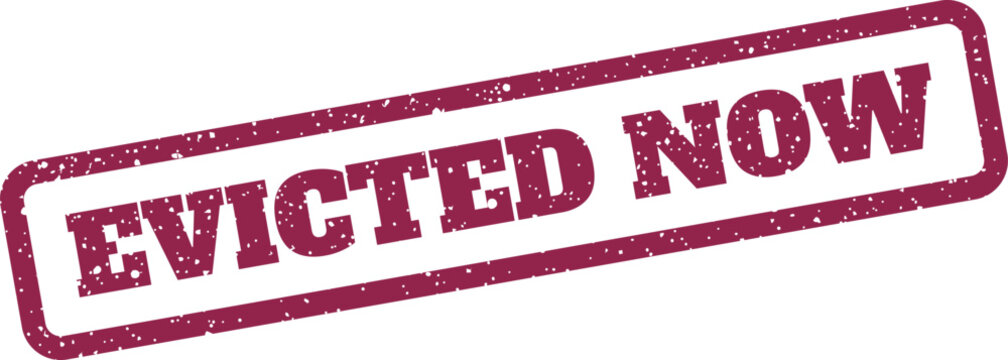Distressed rectangular stamp featuring the imperative EVICTED NOW, conveying urgent removal or immediate action