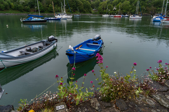 Lower Fishguard harbour at high tide 