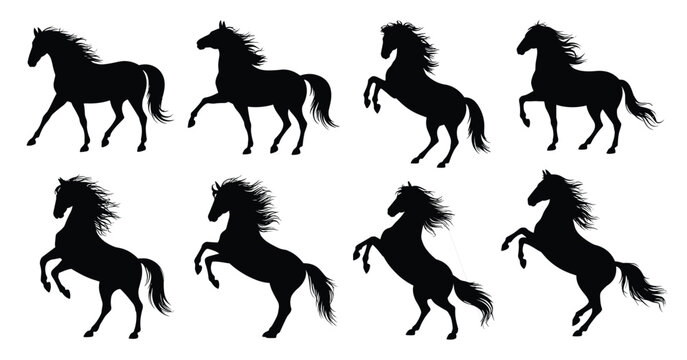Collection of Black Horse Silhouettes in Various Poses on White Background illustration 1.auggg