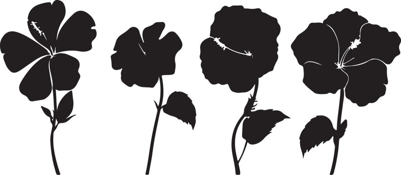 Black and white floral silhouette vector illustration featuring roses, poppies and decorative flower and leaf patterns