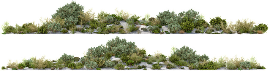 Coastal dune shrubs and beach vegetation cutout on transparent background PNG © Mathias Weil