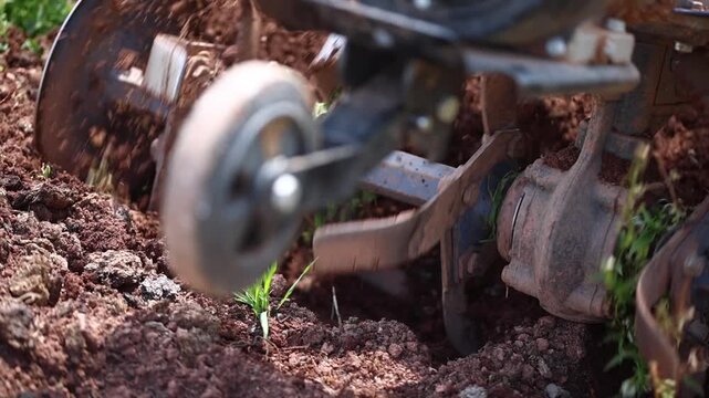 The farmer tilling the soil to prepare for planting.