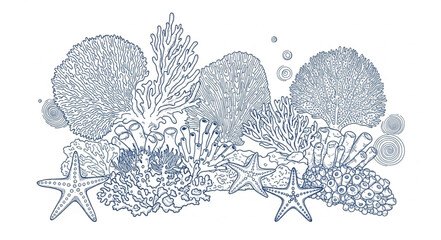Detailed illustration of a vibrant coral reef ecosystem with starfish. © Jiwaskz