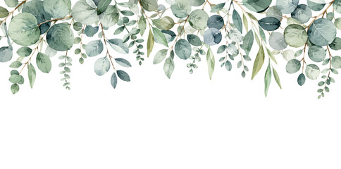A charming watercolor banner of green eucalyptus leaves and branches featuring soft rounded foliage, delicate stems, and natural botanical greenery illustrated in an elegant hand-painted style. © liana