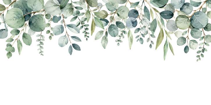 A charming watercolor banner of green eucalyptus leaves and branches featuring soft rounded foliage, delicate stems, and natural botanical greenery illustrated in an elegant hand-painted style.