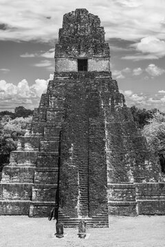 Grand Jaguar Temple I Pyramid in black and white, Tikal, Guatemala.