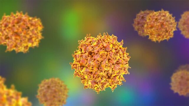 Adeno-associated virus particles slowly rotating and drifting in fluid, detailed capsid structure visualised, molecular virology concept, 3D animation.