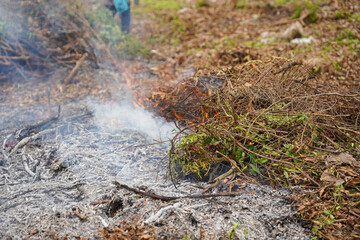 Fototapeta premium Burning piles of dry branches and organic waste in rural farmland create thick smoke and ash during agricultural land clearing. Environmental pollution, wildfire danger and climate crisis concept.