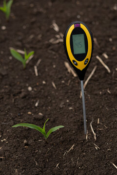 Close up of digital soil pH meter placed in agricultural field with young corn seedlings. Measuring soil conditions for healthy crop growth and sustainable farming practices.