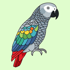 Obraz premium Colorful African Grey Parrot Illustration with Detailed Plumage.