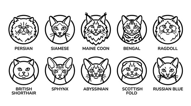 Set of ten cat breed icons in line art style.