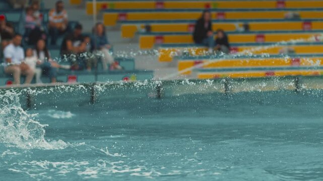 Swimmers practice in pool during event with audience in background at local sports center