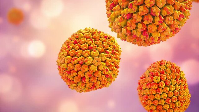 Adenovirus particles slowly rotating and drifting in fluid, detailed icosahedral capsid structure visualised, molecular virology concept, 3D animation.