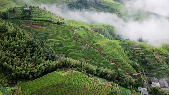 Aerial of misty Longji Dragon Backbone Rice Terraces with villages in Guangxi, China