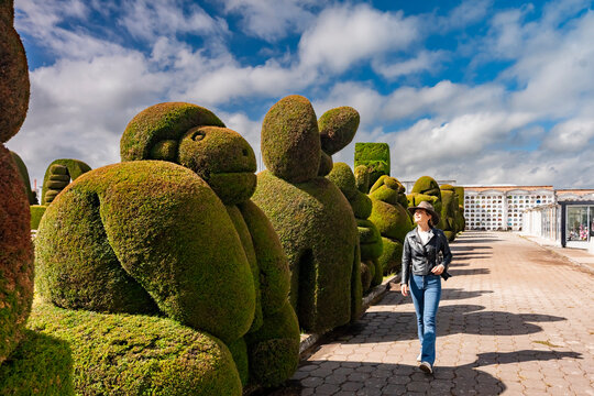 Topiary sculptures at Tulcan Cemetery in Ecuador