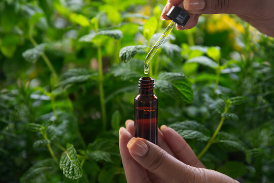 Natural essence oil dropper for spa skin care and scent